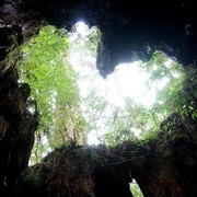 リバさんのアイコン