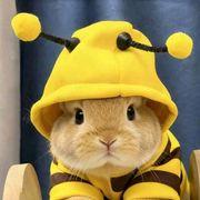 ゴン太さんのアイコン
