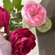 イルミナティさんのアイコン