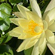 mon*****さんのアイコン