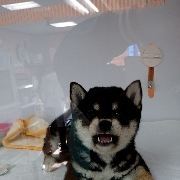 DCライフさんのアイコン