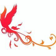 愛鳥さんのアイコン