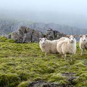 5963さんのアイコン