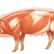 exted8847さんのアイコン