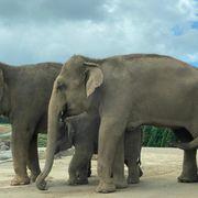 kaaaさんのアイコン