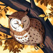 ばいーんさんのアイコン