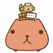 かぴちゃんさんのアイコン