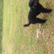 xxcha1011xxさんのアイコン