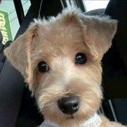 ぽてとさんのアイコン