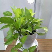 60歳から年金貰います。さんのアイコン