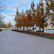 みにまさんのアイコン