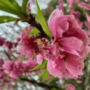 上を向いて歩こう2さんのアイコン