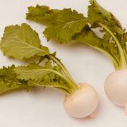 株むら株すけさんのアイコン