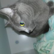 はるとんさんのアイコン