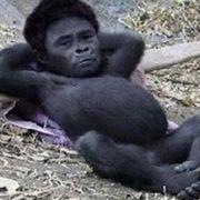 はまちゃんさんのアイコン