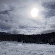 生さたら早アバさんのアイコン