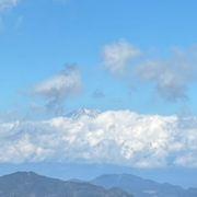 メンマさんのアイコン