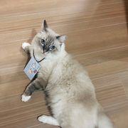 0bf*****さんのアイコン