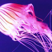 投資歴３年パート主婦さんのアイコン