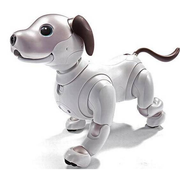 ブラックファイヤーさんのアイコン