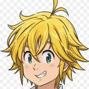 メリオですさんのアイコン