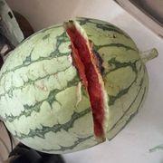 戦艦大和さんのアイコン