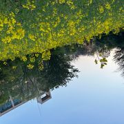 名無しさんさんのアイコン