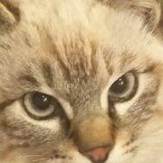 尺八マーザーさんのアイコン
