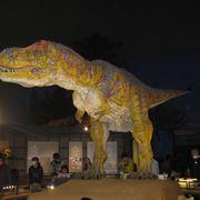 強強竜さんのアイコン