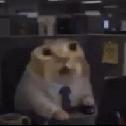 ドラゴンさんのアイコン