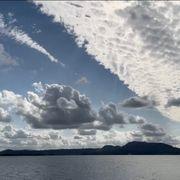 株歴24年生さんのアイコン