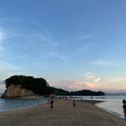 メタプラホルダーさんさんのアイコン