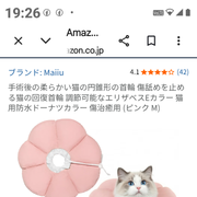 06a*****さんのアイコン