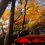 くぁzpl、さんのアイコン