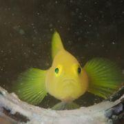 奈良在住者さんのアイコン