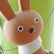 チロさんのアイコン