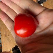 雰囲気投資家S爺さんのアイコン