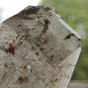 ホタテマン7号さんのアイコン