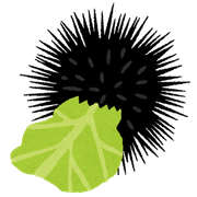 キャベツを食べるウニさんのアイコン