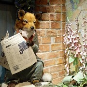 ミニミニさんのアイコン