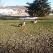 gxさんのアイコン