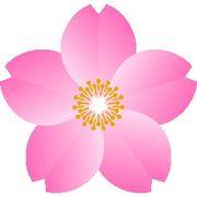 pinkboxさんのアイコン