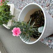 ふくさんのアイコン