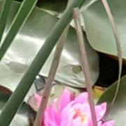 タケゾウさんのアイコン