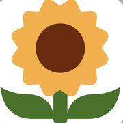 ひまわるさんのアイコン