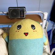 ふなっしーさんのアイコン
