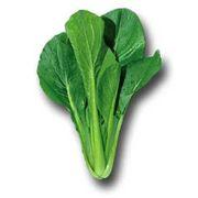 小松菜くんさんのアイコン