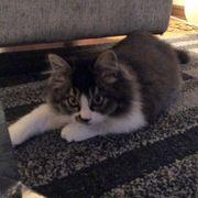 takechanさんのアイコン