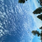 空耳さんのアイコン