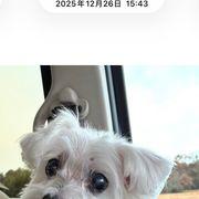 マルさんのアイコン